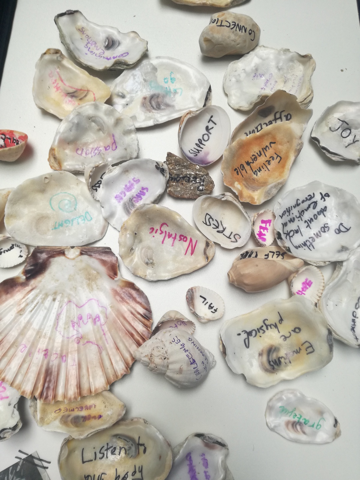 /Figure 2: An example of creative methods for reflection - 'Emotion shells' 